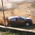 Rally de Portugal 2018  (220).JPG